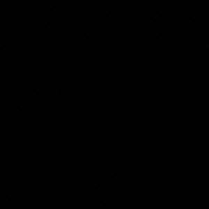 Meet your Posher, Bailey